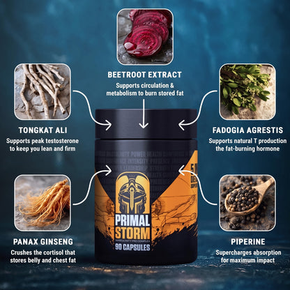 Primal Storm - COC - Man Boobs and Belly Fat