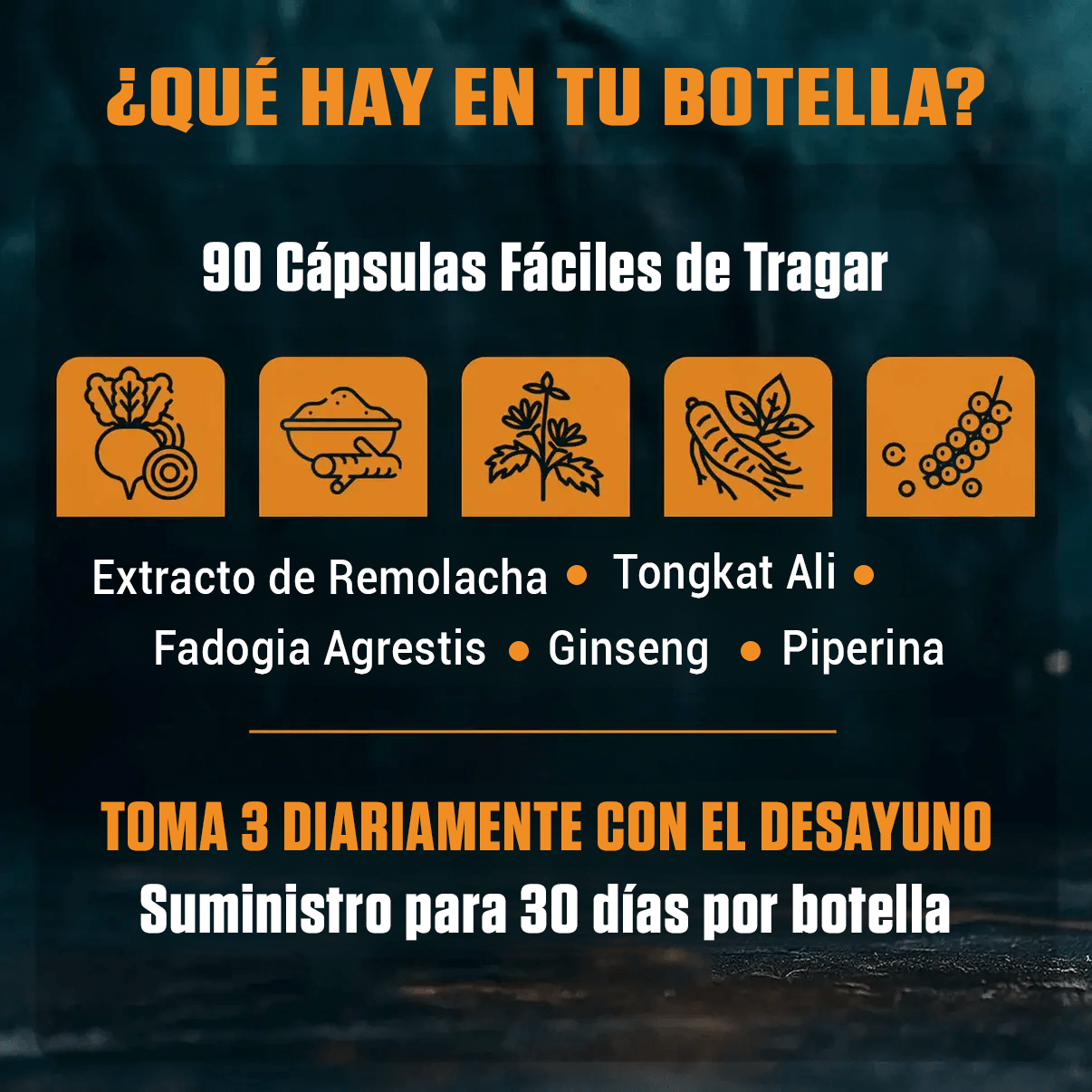 IMAGE_2_b8d29ad5-7ccf-4321-a3d6-5eac62841493.png__PID:16ce77be-425d-4be2-aca9-6c984c5f5eed