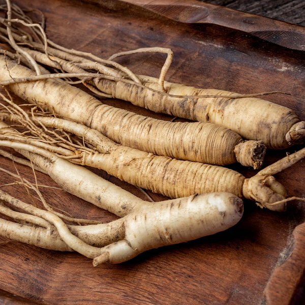 PANAX GINSENG