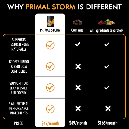 Primal Storm - test